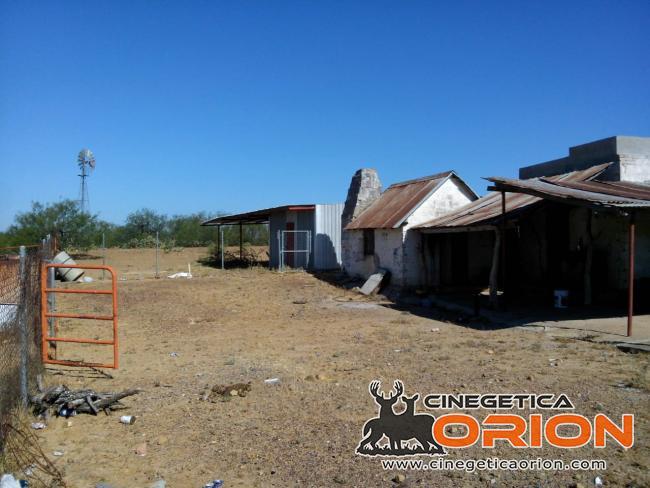 Rancho el Cañón 750 has Cd Mier Tamaulipas disponible para 6 cazadores