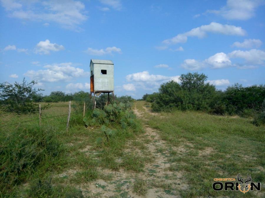 Rancho el Cañon Manuel Salinas cd Mier Tamaulipas