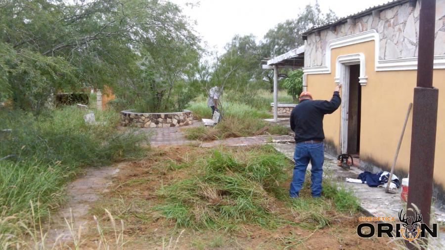 Rancho el Chipilin Cd. Mier Tamaulipas