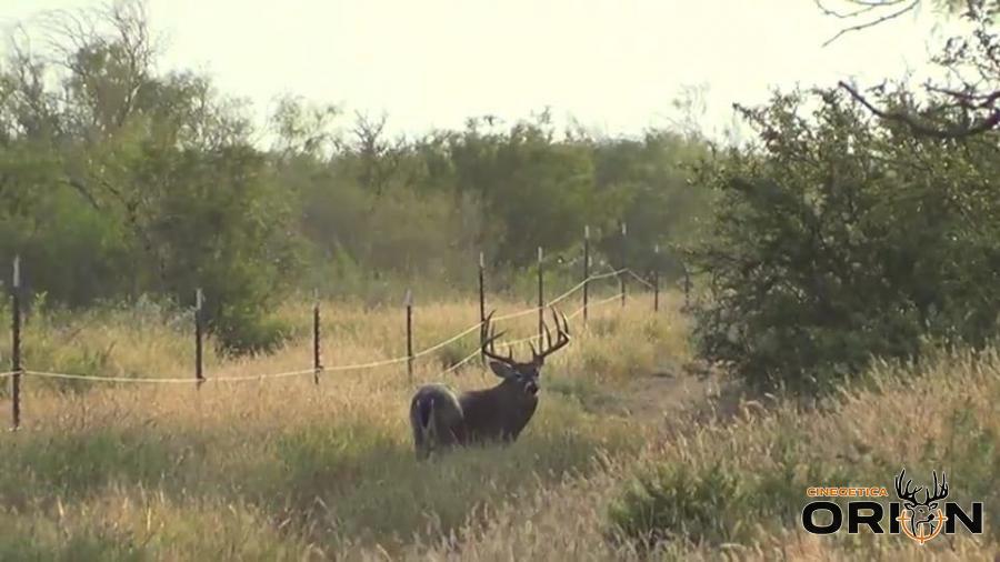 Rancho en San Javier NL 2,000 hcts