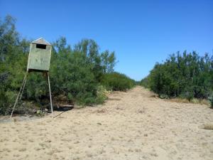 Rancho el Cañón 750 has Cd Mier Tamaulipas disponible para 6 cazadores