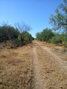 Rancho el Cañón 750 has Cd Mier Tamaulipas disponible para 6 cazadores