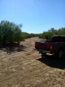 Rancho el Cañón 750 has Cd Mier Tamaulipas disponible para 6 cazadores