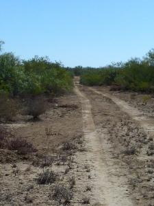 Rancho el Cañón 750 has Cd Mier Tamaulipas disponible para 6 cazadores