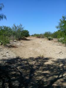 Rancho el Cañón 750 has Cd Mier Tamaulipas disponible para 6 cazadores