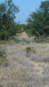 Rancho el Coyote Norte para cacerías asistidas en fin de semana