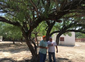 Rancho Cinegético La Mesquitoza Cd. Mier Tamaulipas