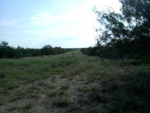 Rancho el Cañon Manuel Salinas cd Mier Tamaulipas