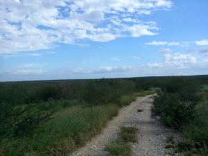 Rancho el El Canaleño Los Magueyes Cd. Mier Tamaulipas