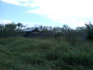 Rancho el El Canaleño Los Magueyes Cd. Mier Tamaulipas