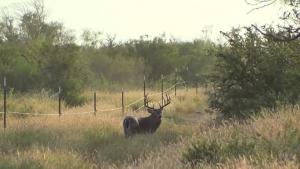 Rancho en San Javier NL 2,000 hcts