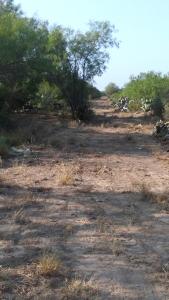 Rancho en San Javier NL 2,000 hcts