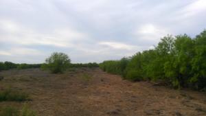 Rancho Cinegético el Leon en San Javier Nuevo Leon