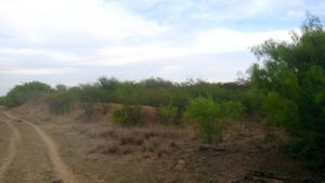 Rancho Cinegético el Leon en San Javier Nuevo Leon