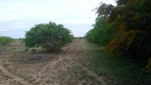 Rancho Cinegético el Leon en San Javier Nuevo Leon