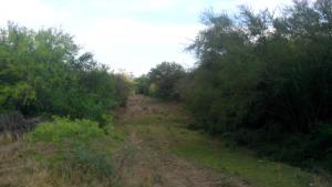 Rancho Cinegético el Leon en San Javier Nuevo Leon