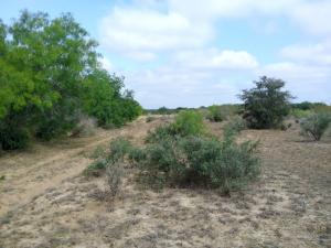 Rancho El Ebanito