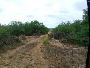 Rancho El Ebanito