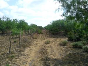 Rancho El Ebanito