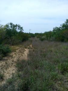 Rancho el El Canaleño Los Magueyes Cd. Mier Tamaulipas