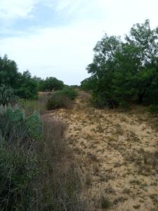 Rancho el El Canaleño Los Magueyes Cd. Mier Tamaulipas