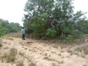 Rancho el El Canaleño Los Magueyes Cd. Mier Tamaulipas