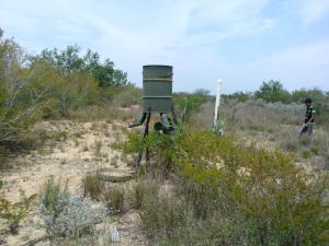 Rancho el El Canaleño Los Magueyes Cd. Mier Tamaulipas