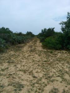 Rancho el El Canaleño Los Magueyes Cd. Mier Tamaulipas