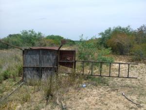 Rancho el El Canaleño Los Magueyes Cd. Mier Tamaulipas