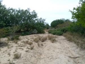 Rancho el El Canaleño Los Magueyes Cd. Mier Tamaulipas