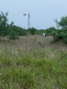 Rancho el El Canaleño Los Magueyes Cd. Mier Tamaulipas