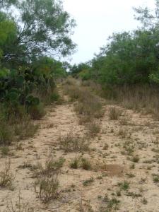 Rancho el El Canaleño Los Magueyes Cd. Mier Tamaulipas