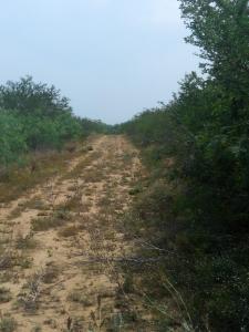 Rancho El Canaleño Cd. Mier Tamaulipas