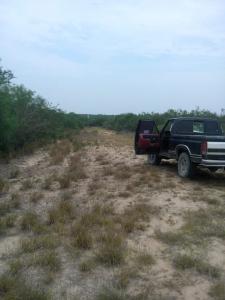 Rancho El Canaleño Cd. Mier Tamaulipas