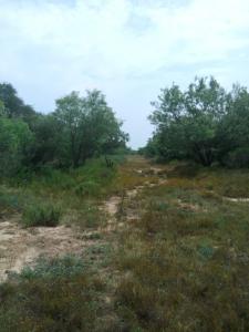 Rancho El Canaleño Cd. Mier Tamaulipas