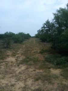 Rancho El Canaleño Cd. Mier Tamaulipas