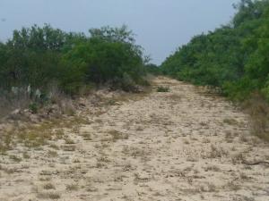 Rancho El Canaleño Cd. Mier Tamaulipas