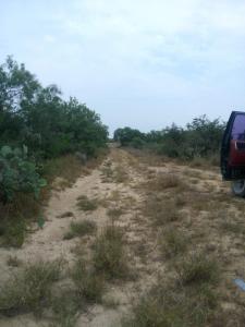 Rancho El Canaleño Cd. Mier Tamaulipas