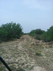 Rancho El Canaleño Cd. Mier Tamaulipas