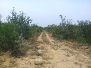 Rancho El Canaleño Cd. Mier Tamaulipas