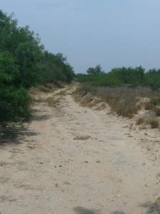 Rancho El Canaleño Cd. Mier Tamaulipas