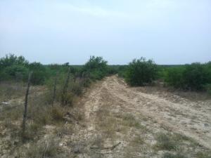 Rancho El Canaleño Cd. Mier Tamaulipas