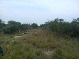 Rancho El Canaleño Cd. Mier Tamaulipas