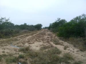 Rancho El Canaleño Cd. Mier Tamaulipas