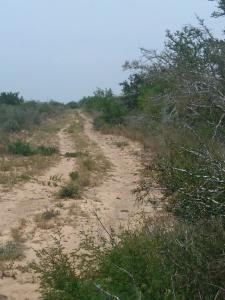 Rancho El Canaleño Cd. Mier Tamaulipas