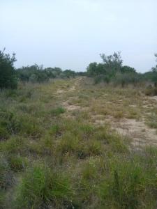 Rancho El Canaleño Cd. Mier Tamaulipas