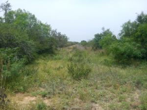 Rancho El Canaleño Cd. Mier Tamaulipas