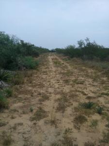 Rancho El Canaleño Cd. Mier Tamaulipas