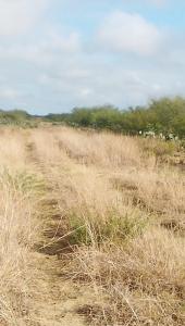 Rancho Santa Lucia - El Ebanal, Guerrero Tamaulipas